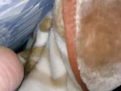 Bebek, eş, porno anal bakire koca